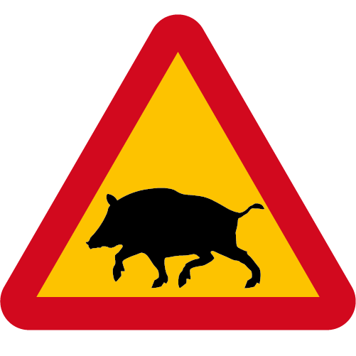 A18 Varning för vildsvin gul röd triangelformat vägmärke