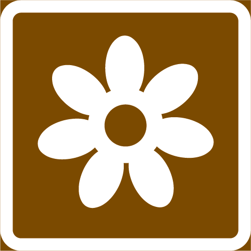 I1 Turistväg kvadratisk brun vit med blomma