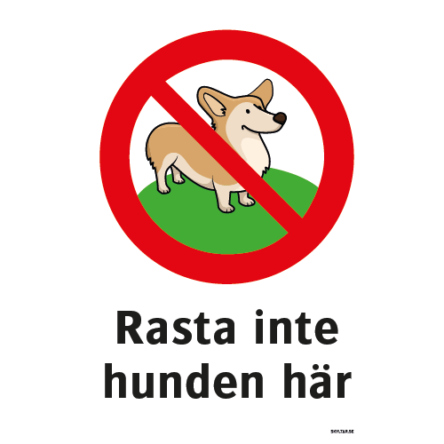Rasta inte hunden här