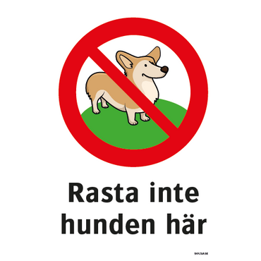 Rasta inte hunden här