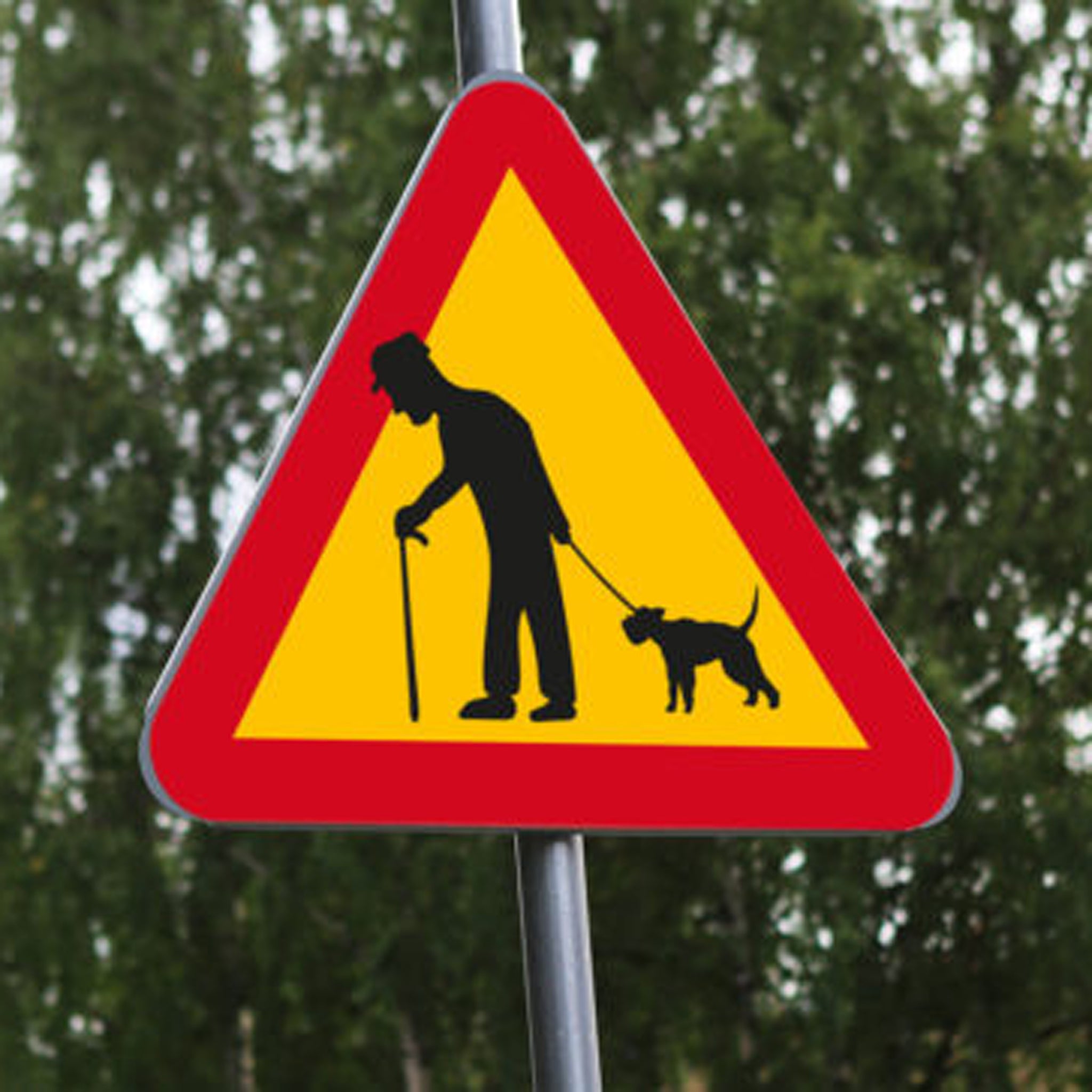 Varning för gubbe med hund